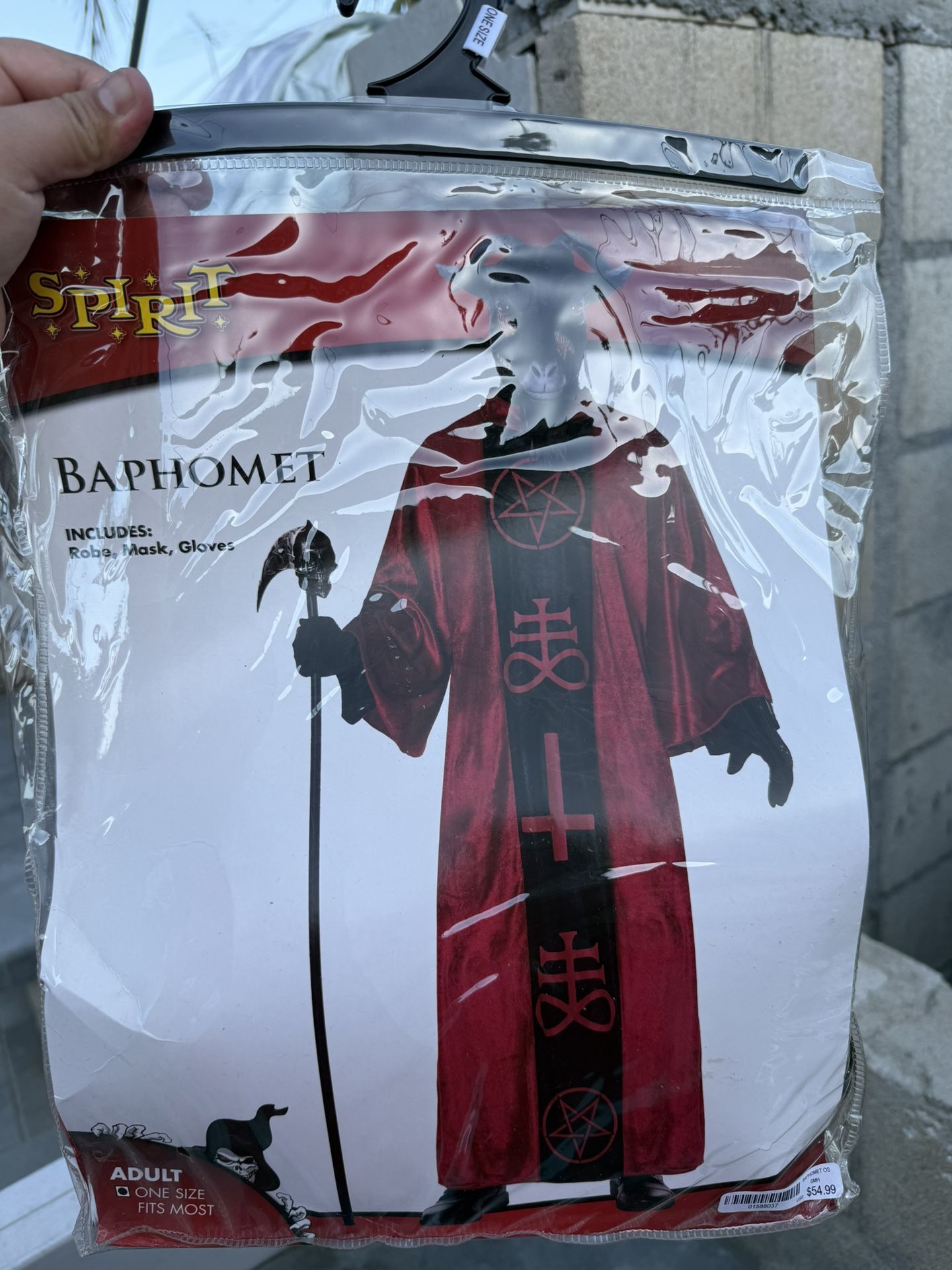 Halloween Costume