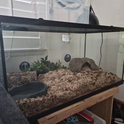 40 Gal Tank