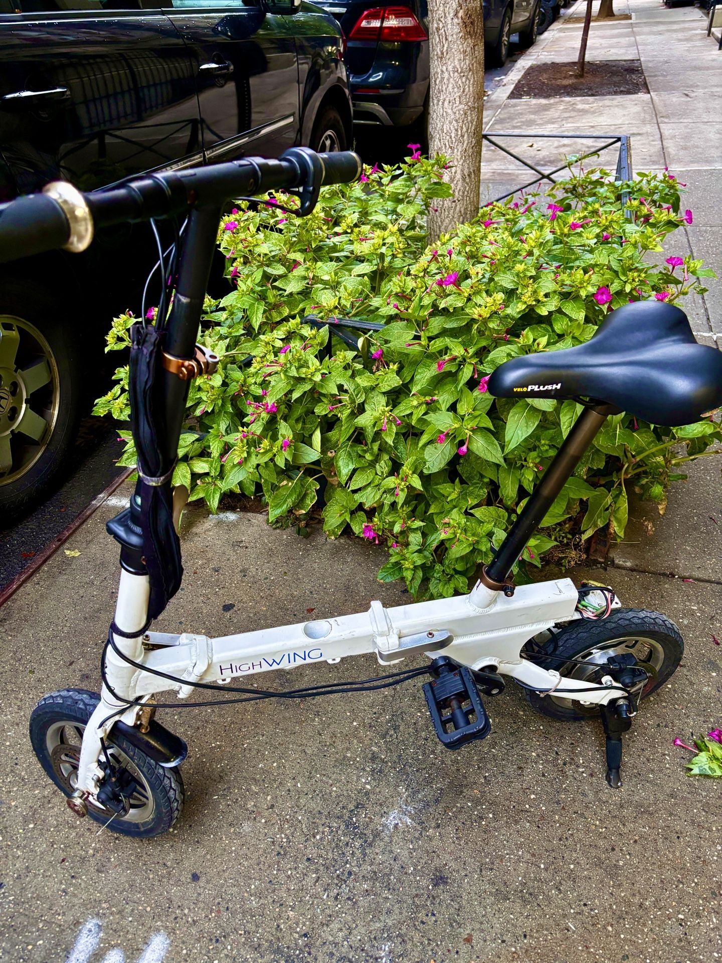 SMALLEST folding ebike no battery- CLEAN - original $1300