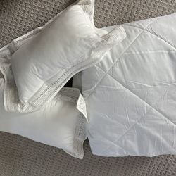 Twin Extra Long Comforter And Decorative Pillows