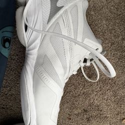 Mizuno Volleyball shoes 