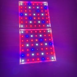 Marshydro Grow Lights And Tent 