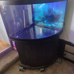 Aquarium