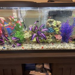 Beautiful 55 Gallon Fish Tank and Fish Tank Stand 