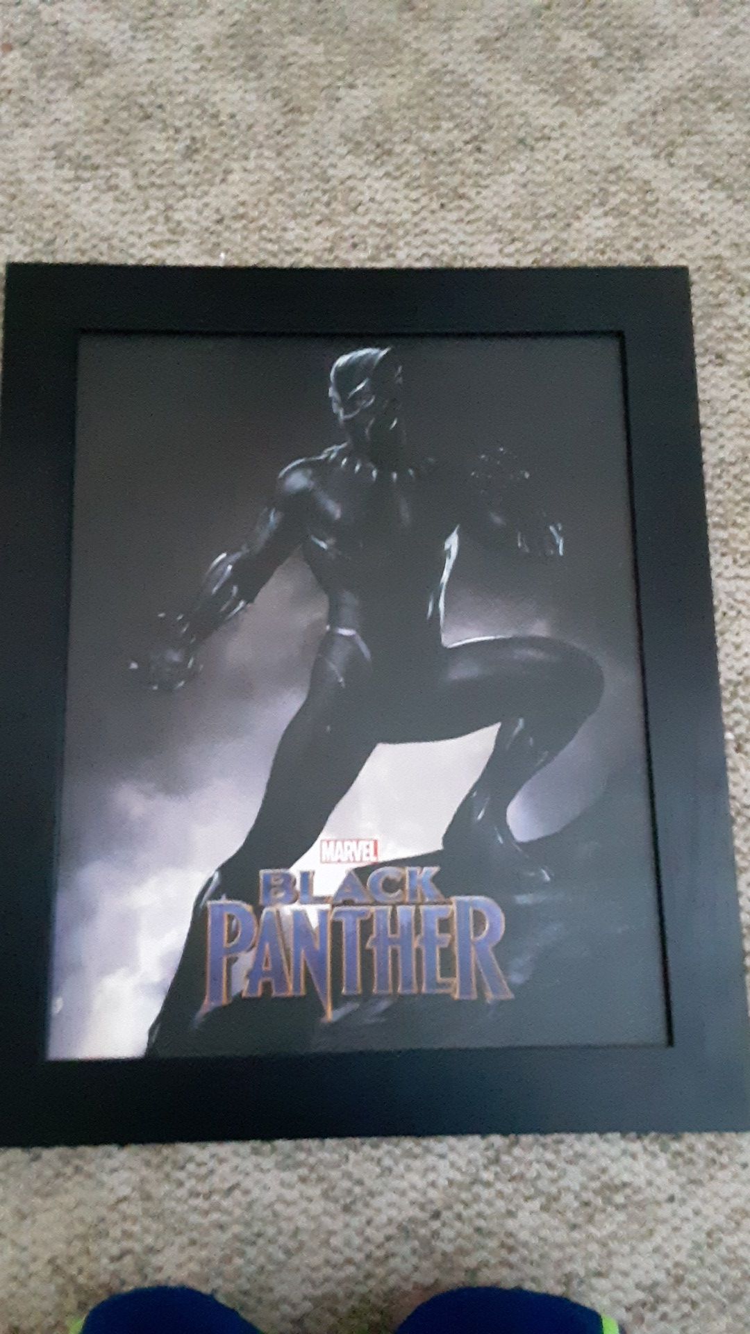 Black panther picture