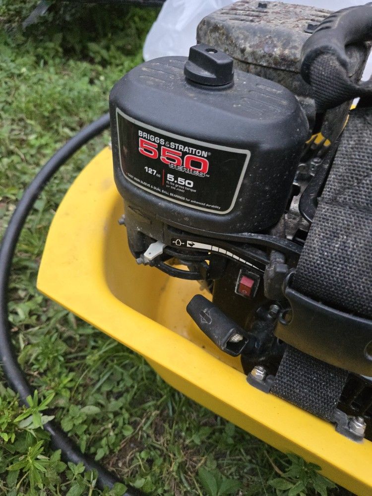 Brownies Third  Lungs