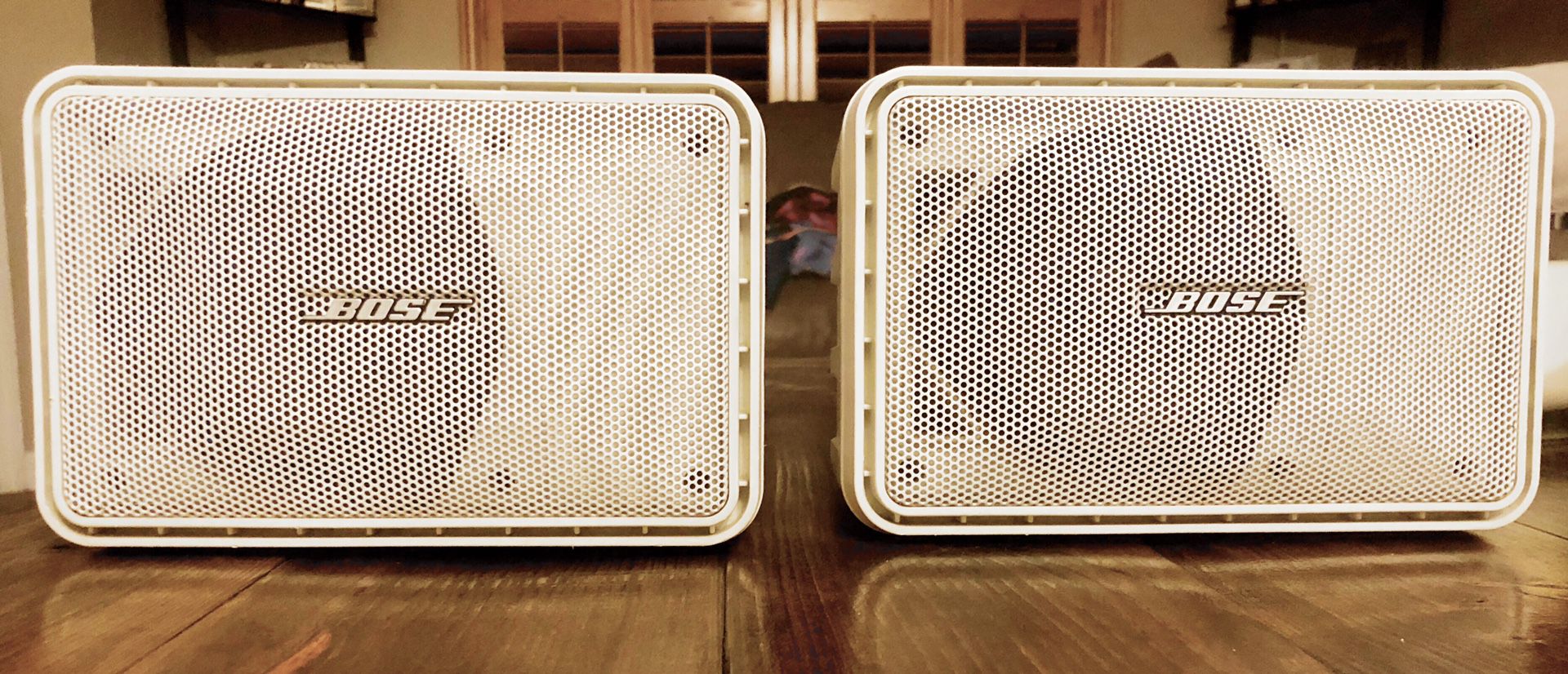 Bose 101 speakers