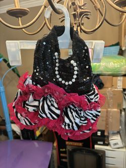 Halloween Pet Costume