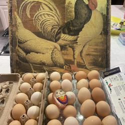 Fresh Organic Eggs 