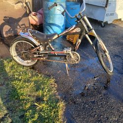 Sting Ray Chopper
