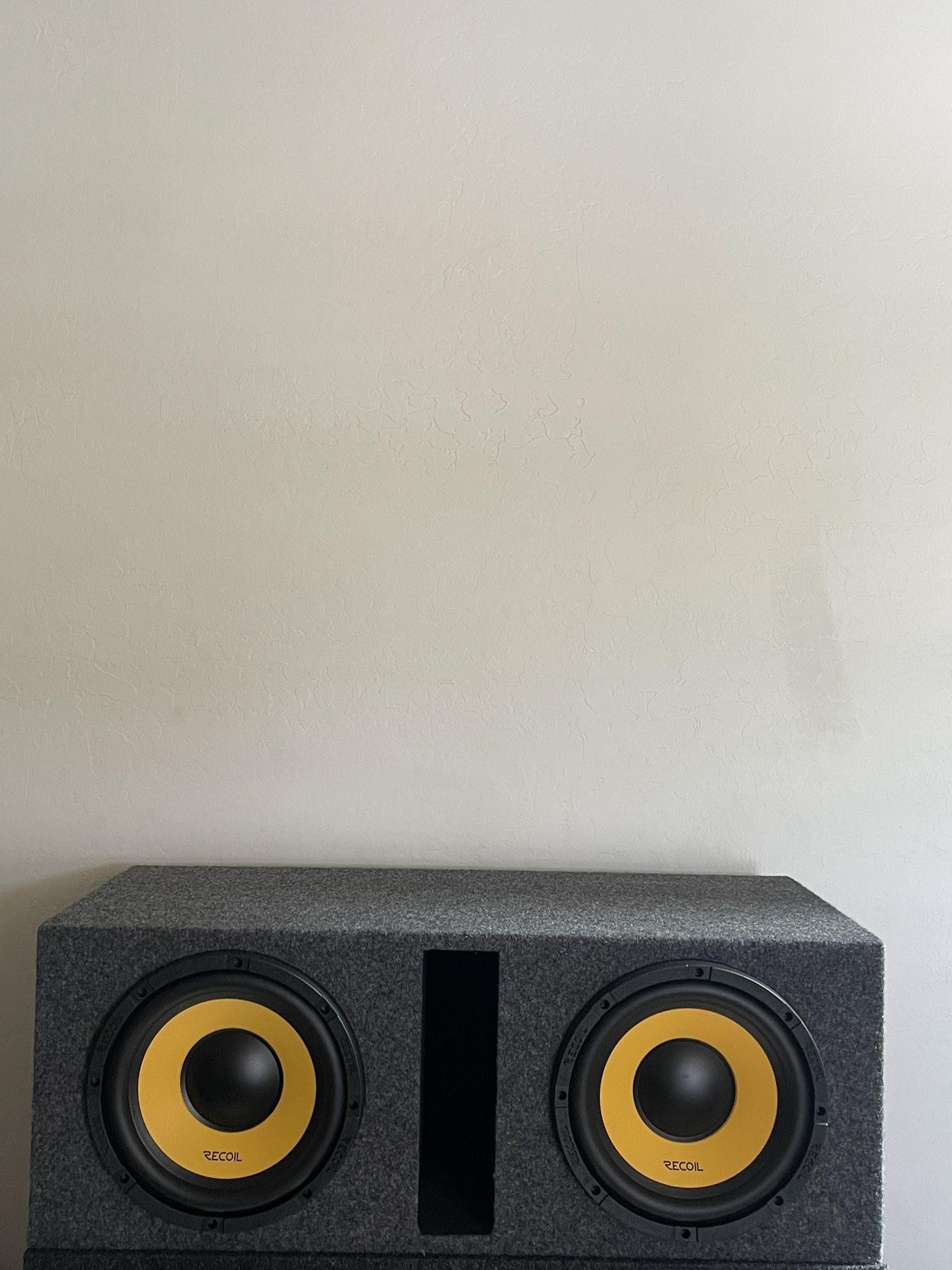 10” Subwoofer