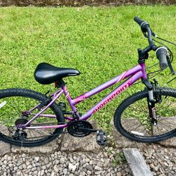 Bike 🚲 24”