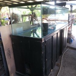 300 gallon salt water aquarium