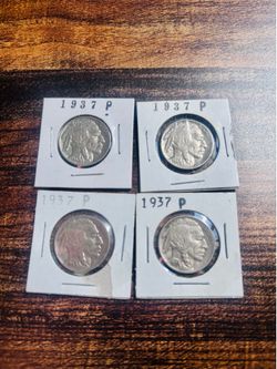 Buffalo nickel coins