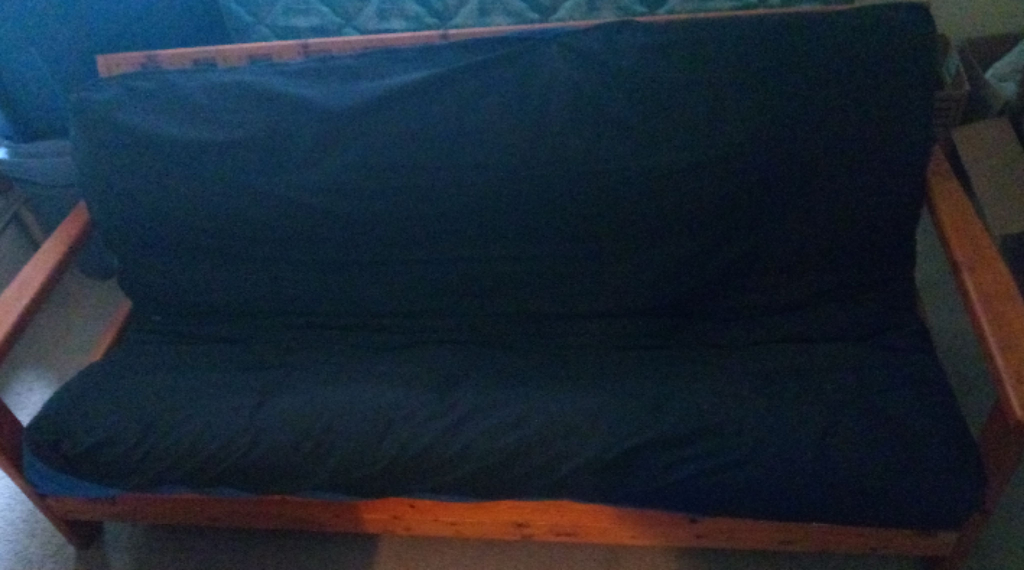 FREE - CURB ALERT Wood Futon, Mattress & Zip Cover