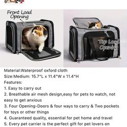 Cat Or Dog  Carrier