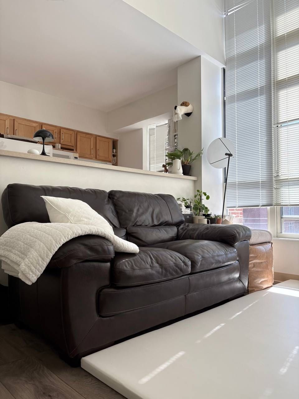 Dark Brown Leather Sofa – $120
