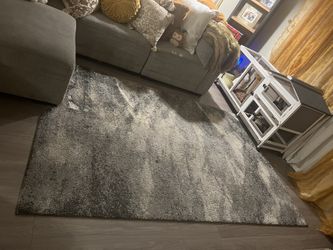 5’x 8’ SAFAVIEH AREA RUG, LIGHT GREY/BLACK, $90 OBO! 