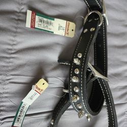 Dog Collar Spiked 18 Inch