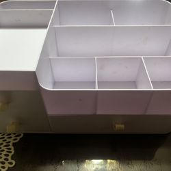 Divided Organizer For Brushes, Padlettes, etc