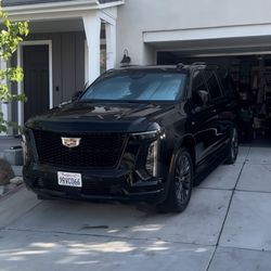 *****Window******Tint