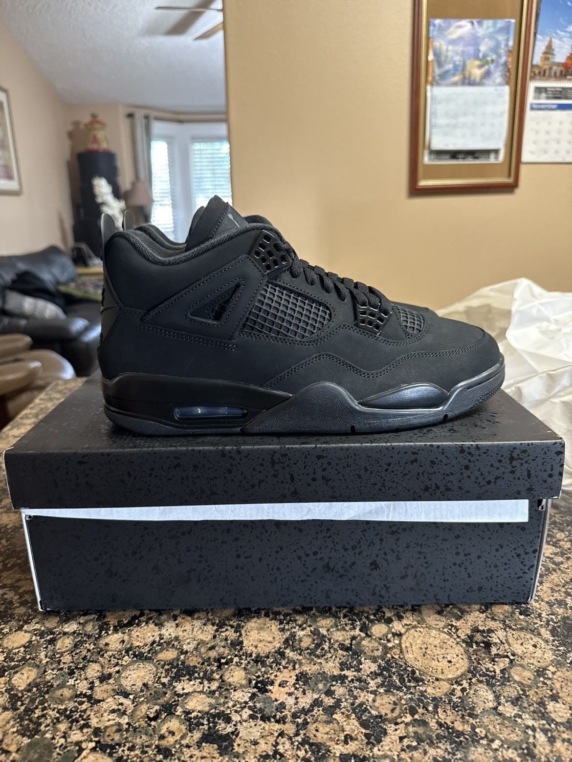 Brand New Black  Cat 4s