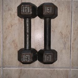 Two 8 Pound Dumbbells