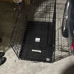 Double Door Dog Kennel