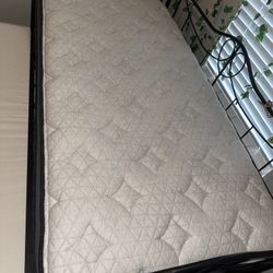 Daybed Twin With Trundle 