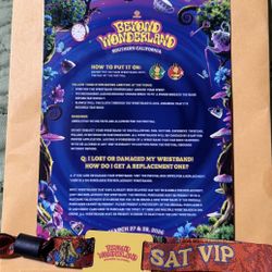 Beyond wonderland Saturday VIP
