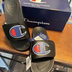 Champion Slides