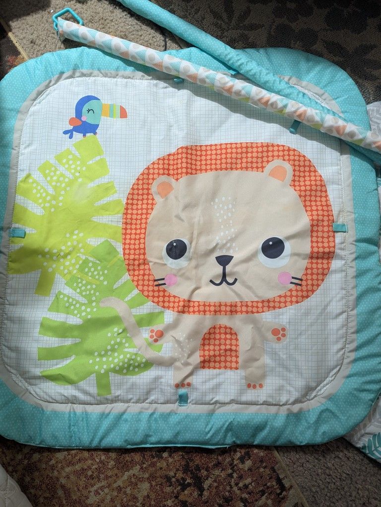 Baby Play Mat