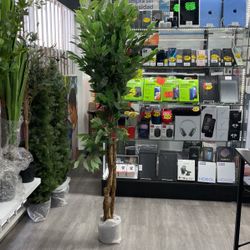 Get Two PCs twins For $65 Plant