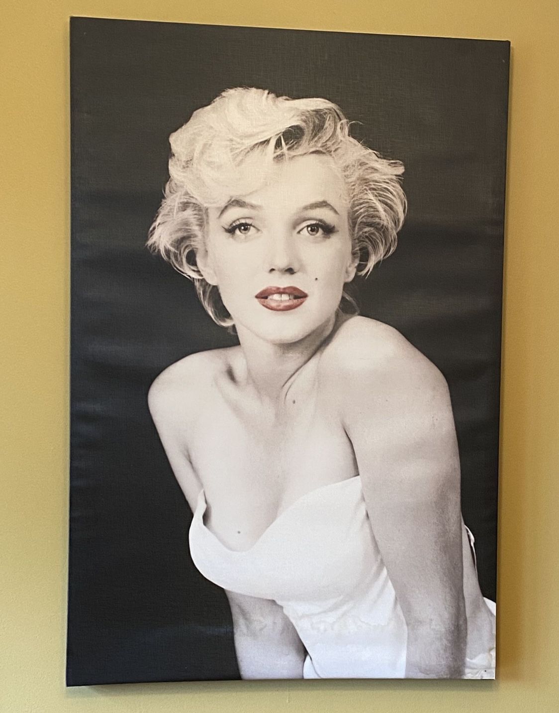 Large Marilyn Monroe Canvas 24”Lx 36”H/has a light water stain on bottom right side , otherwise in good condition/ pickup in Lake Zurich
