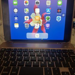 iPad Mini