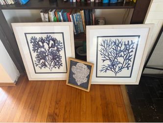 Set of 3 Framed Coastal Seaweed and Coral Wall Art