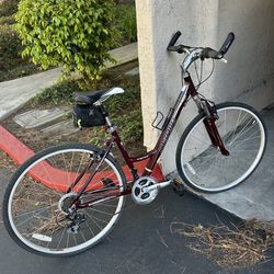 Cruising bike - women’s - Nishiki - Montour