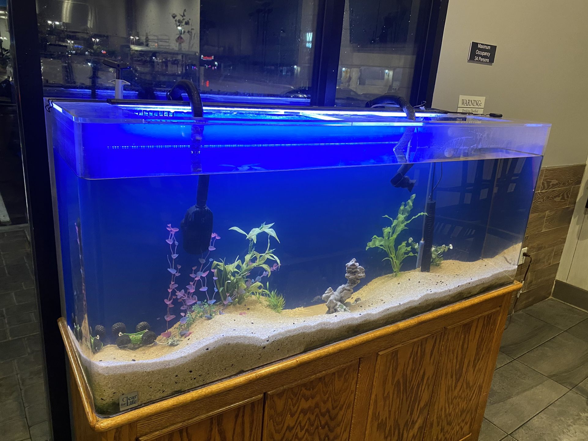 Acrylic Tank 110 gallon With Fluval FX6 Canister