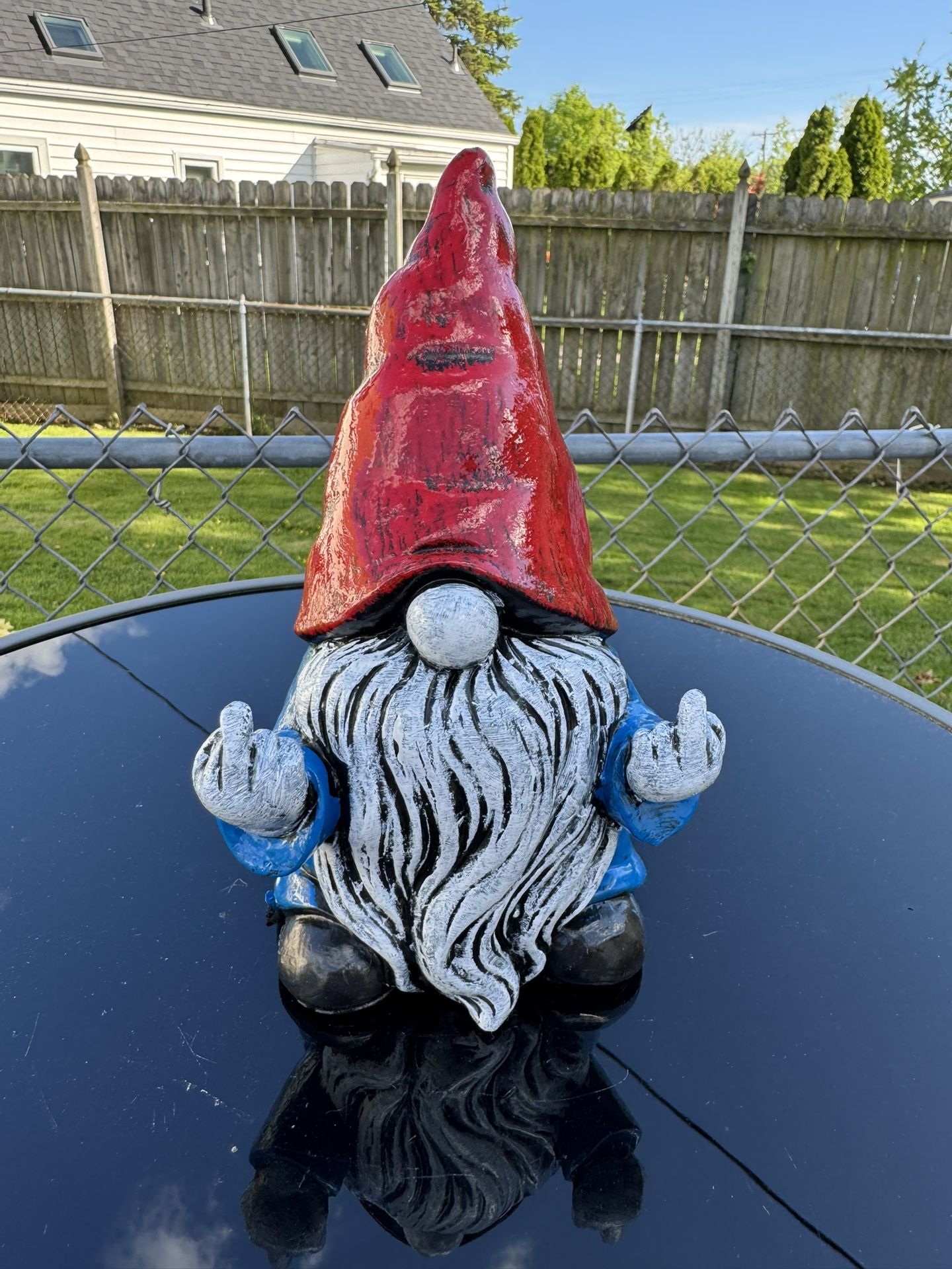 The Middle Finger Gnome