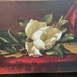 Picture From Z GALLERY