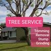 Tree Services Free ESTIMATES