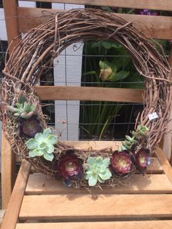Succulents wreath