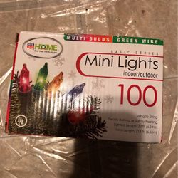 100 Mini Lights
