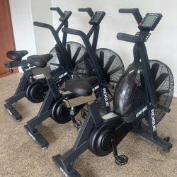 Rogue Echo Air Bikes
