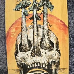 SECTOR 9 LONGBOARD 34"