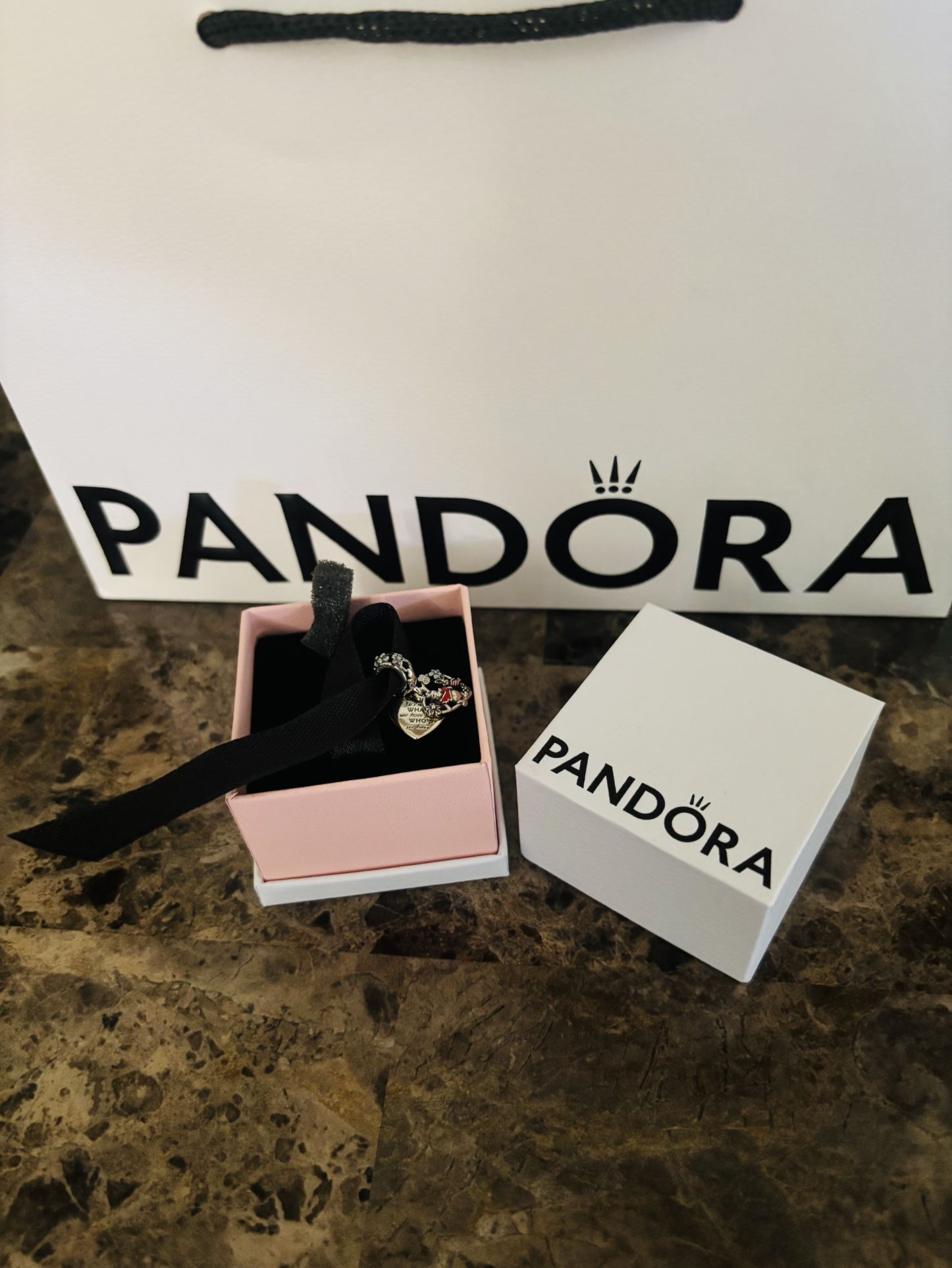 Pandora Dangle Charm Disney Winnie the Pooh Piglet Sterling Jewelry New