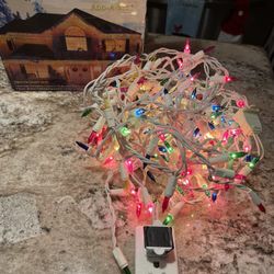 Outdoor Christmas Lights