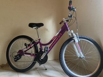 Schwinn Breaker Mountain Bike 24 Series