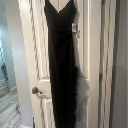Formal Black With Feathers Dress