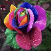 Kinjal